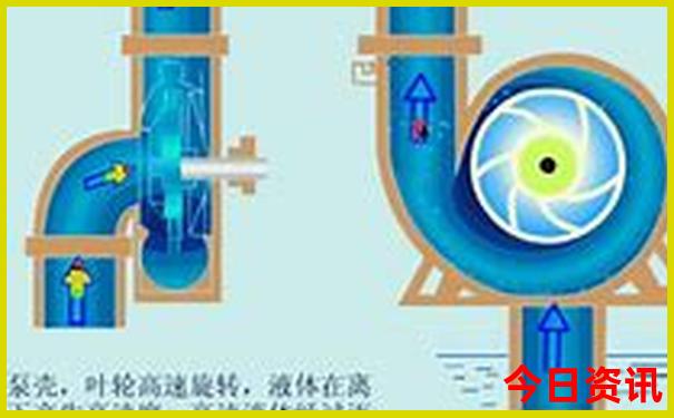 收藏必备澳门管家婆全新官方100%方法精准一键直达查询-澳门管家婆100%精准香港
